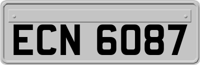 ECN6087