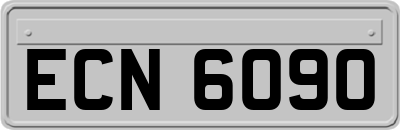 ECN6090