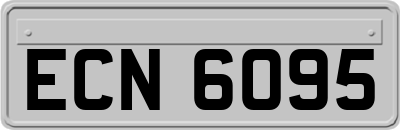 ECN6095