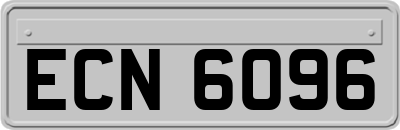 ECN6096