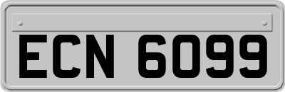 ECN6099