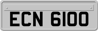 ECN6100