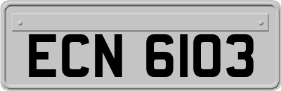 ECN6103