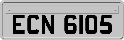 ECN6105