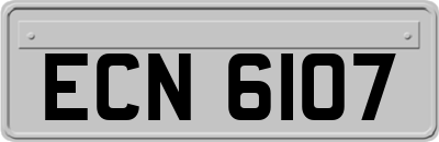 ECN6107