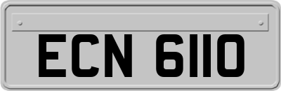 ECN6110