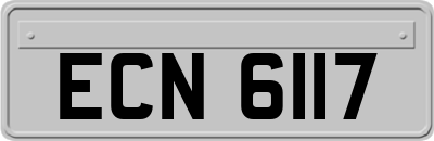 ECN6117