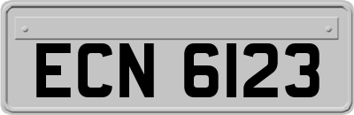 ECN6123