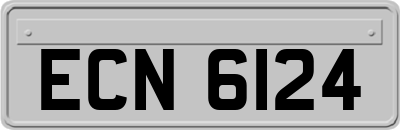 ECN6124