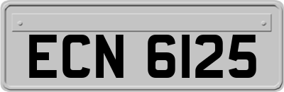 ECN6125