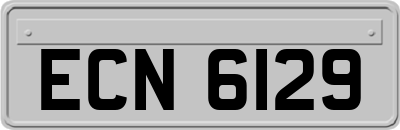 ECN6129