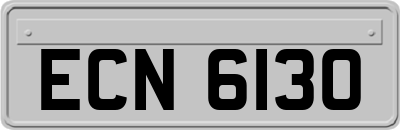 ECN6130