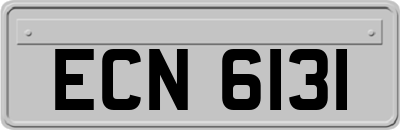 ECN6131