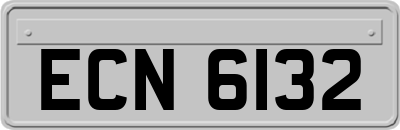 ECN6132