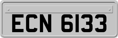 ECN6133