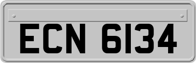 ECN6134