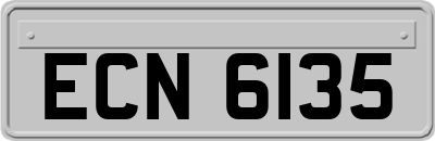 ECN6135