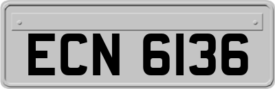 ECN6136