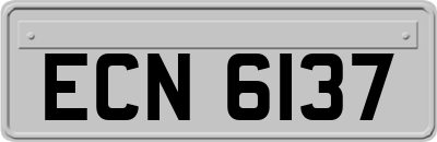 ECN6137