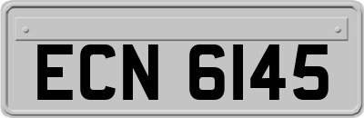 ECN6145