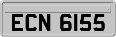 ECN6155