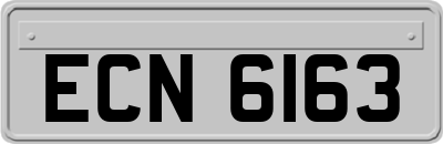 ECN6163