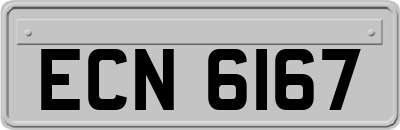 ECN6167