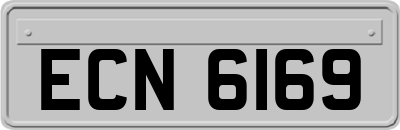 ECN6169