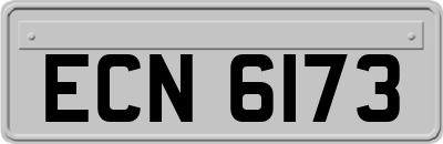 ECN6173