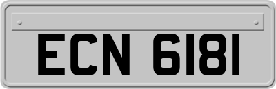 ECN6181