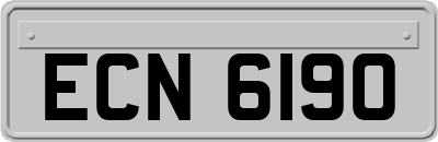 ECN6190