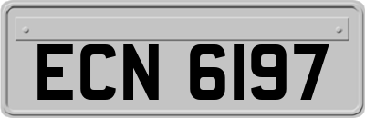 ECN6197