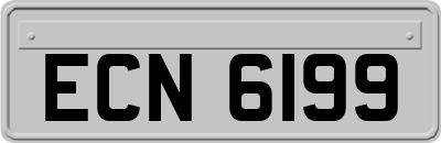 ECN6199