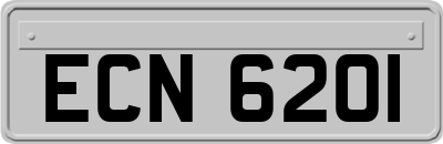 ECN6201