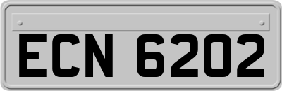 ECN6202