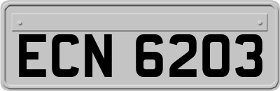 ECN6203
