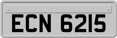 ECN6215