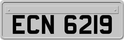 ECN6219