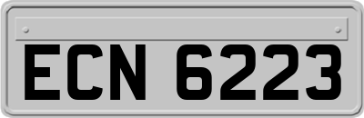 ECN6223