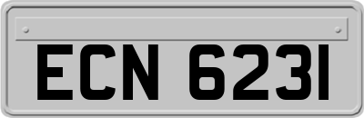 ECN6231