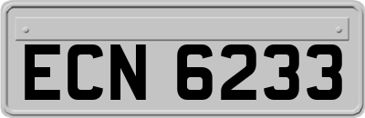 ECN6233