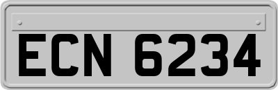ECN6234