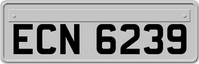 ECN6239