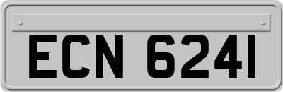 ECN6241