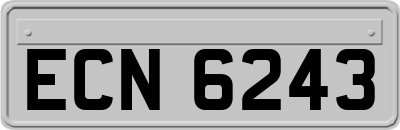 ECN6243
