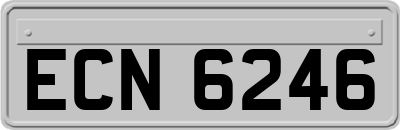 ECN6246