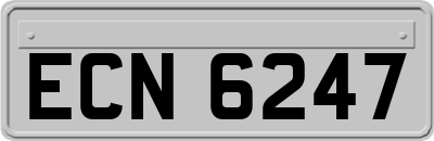 ECN6247