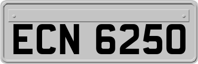 ECN6250