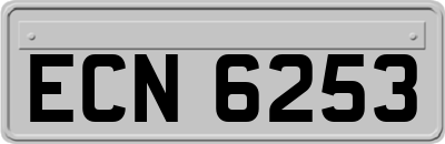 ECN6253