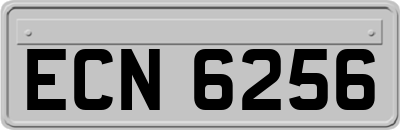 ECN6256